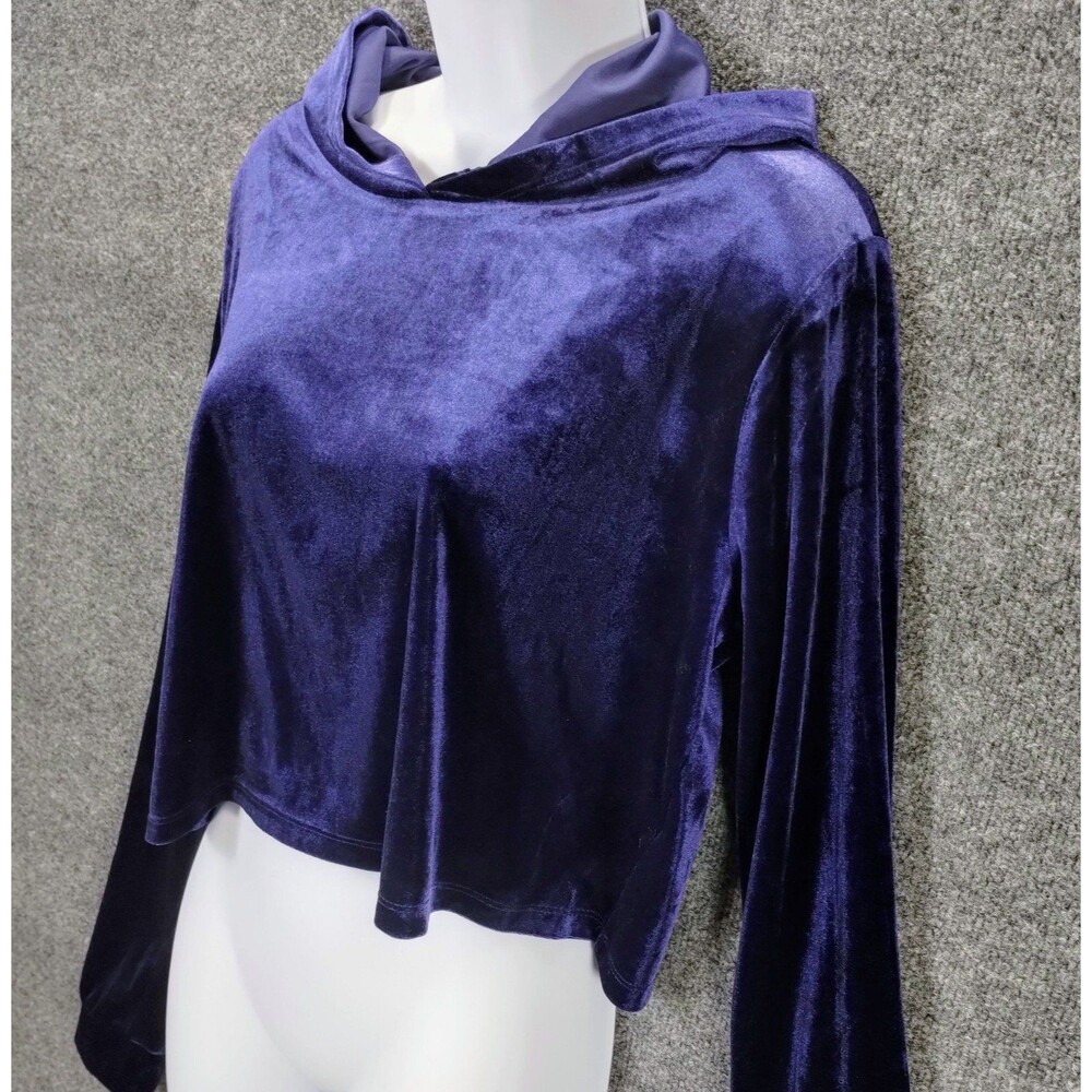Royal Purple Velour Y2K Hoodie Size L Regency Preppy Athleisure Loungewear Track